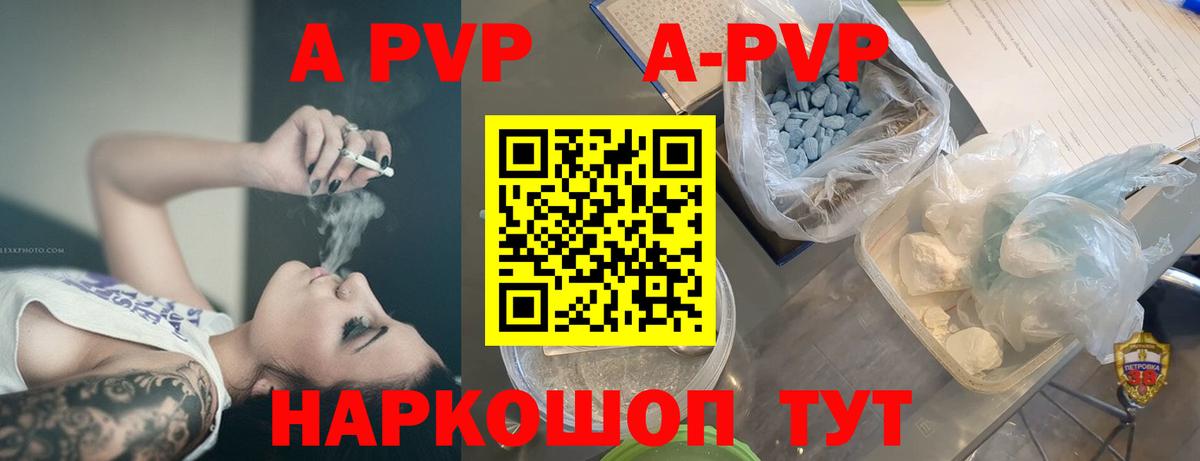 A PVP СК КРИС Печора