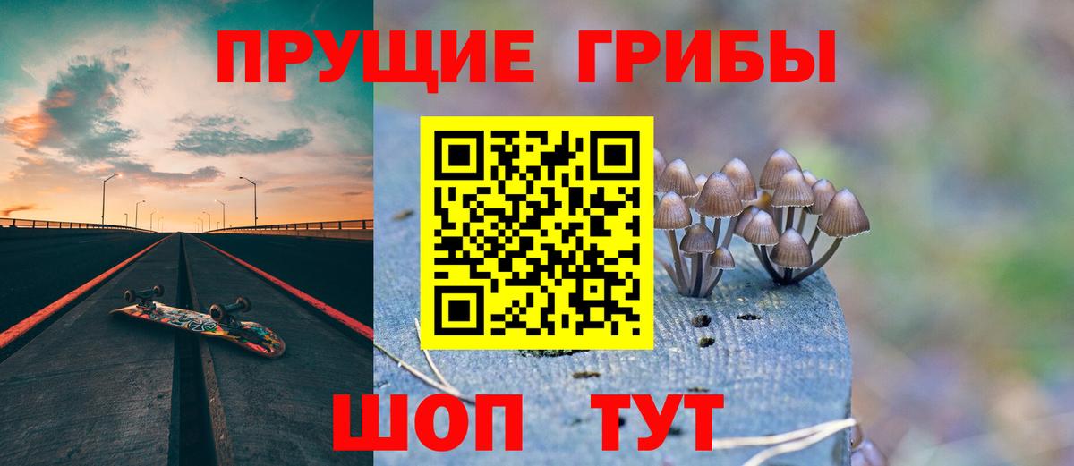 Псилоцибиновые грибы Cubensis Печора